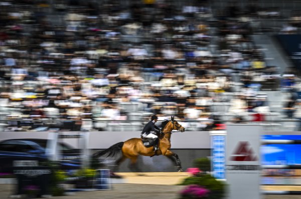 信钰证券 英国名将斯科特·布拉什夺冠，环球马术冠军赛落幕