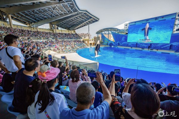 富旺配资 场面 | 上海海昌单日客流超5万人次，游客喜爱的胖虎要减肥了