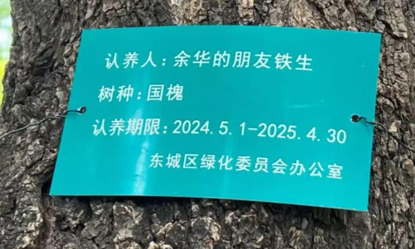 德邦国际 光明网评论员：一场关于“友谊之树”的浪漫想象