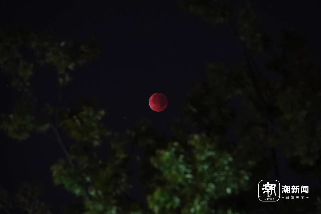 股牛网 红了红了！错过等三年，钱塘江边熬通宵，这轮“红月亮”刷屏