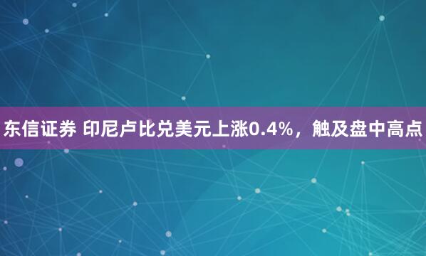 东信证券 印尼卢比兑美元上涨0.4%，触及盘中高点
