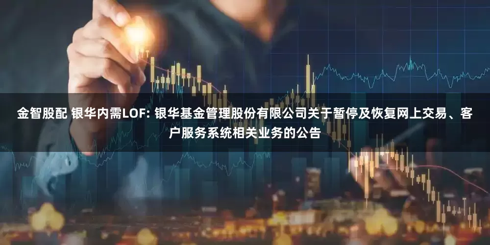 金智股配 银华内需LOF: 银华基金管理股份有限公司关于暂停及恢复网上交易、客户服务系统相关业务的公告